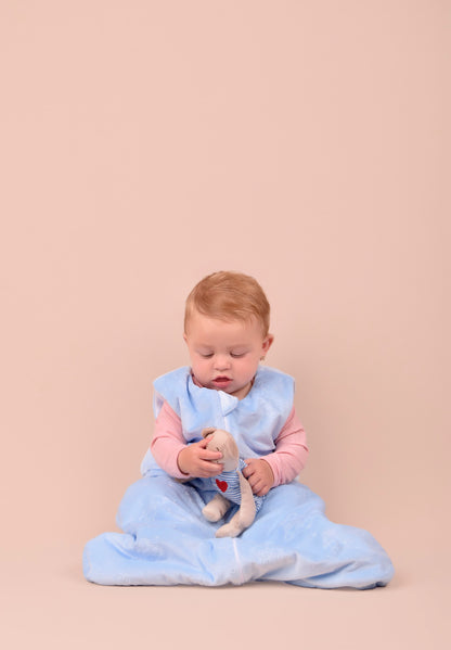 Ultimate Baby Sleep Bag