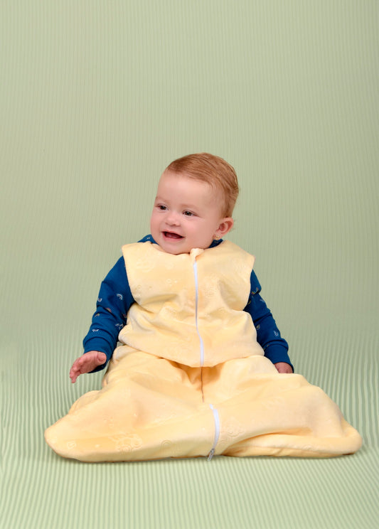 Ultimate Baby Sleep Bag